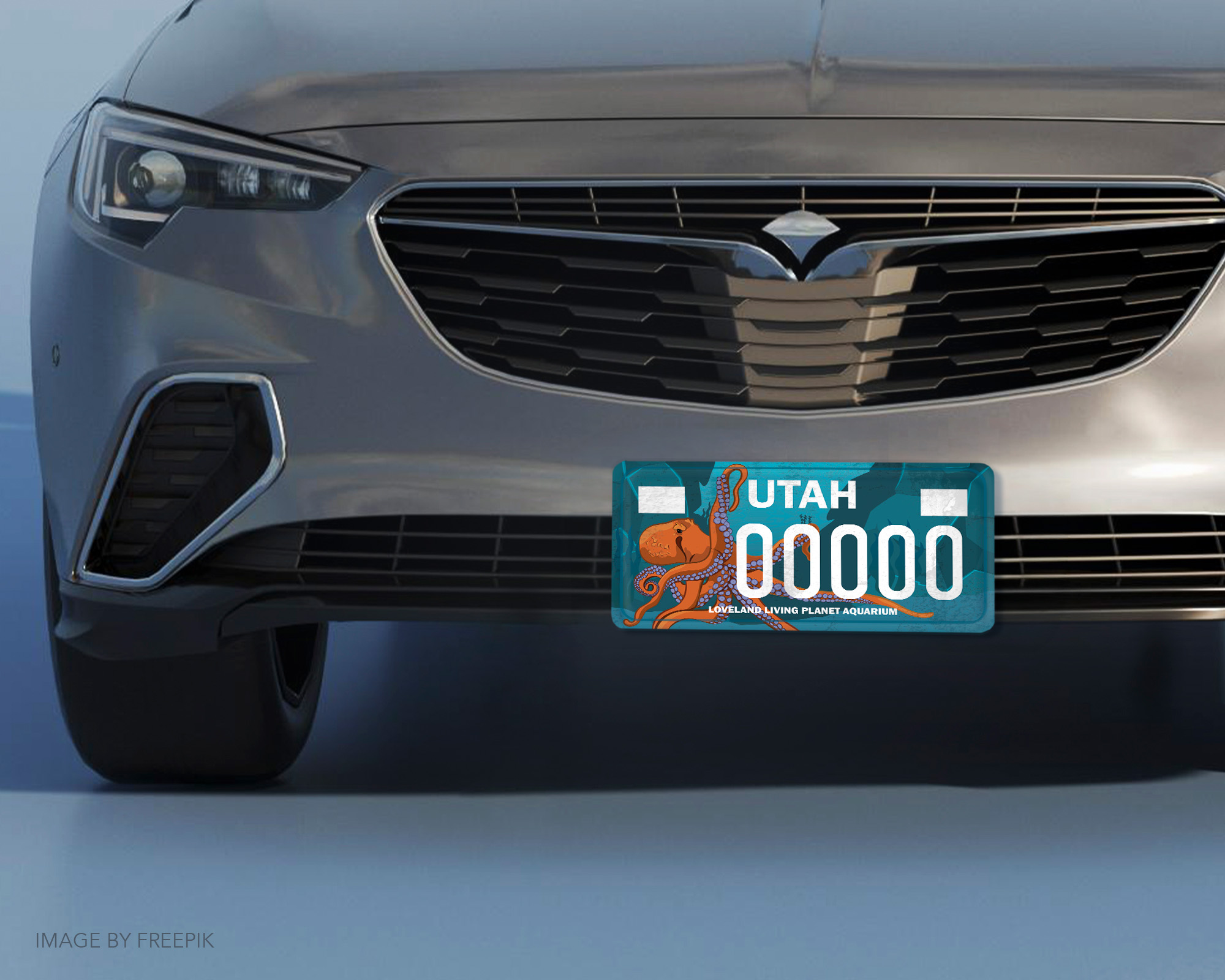 License Plate Car Mockup